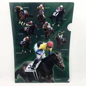 JRA-VAN クリアファイル　非売品　レア　入手困難　ディープインパクト　競馬グッズ　美品