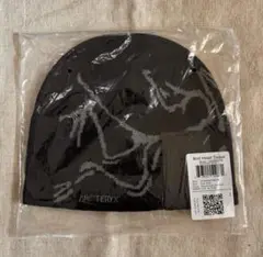 新品！アークテリクス Bird Head Toque ビーニーARC’TRYX