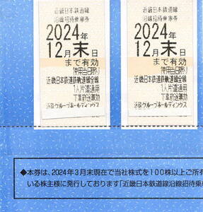 ☆ 近畿日本鉄道　乗車券2枚セット（2024年12月末日まで）☆