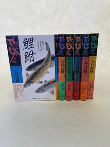 美品　矢口高雄　釣りバカたち　1～巻