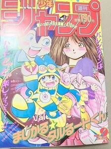 　9　1991年　週刊少年ジャンプ　ドラゴンボール　TF玩 F184