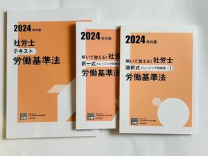 ★2024資格の大原　労働基準法テキスト・択一・選択問題集　新品未使用　令和6年　社労士試験　　社会保険労務士