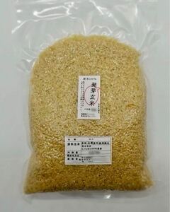 熊本県産 令和6年新米100% 発芽玄米 2袋 5kg れんげ米　