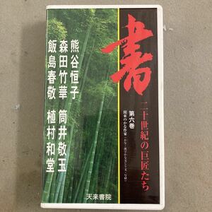 天来書院　書　二十世紀の巨匠たち　第六巻