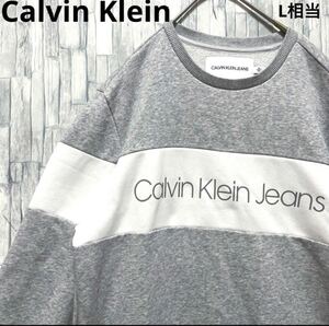 Calvin Klein カルバンクライン ジーンズ トレーナー スウェット サイズM 長袖 デカロゴ ビッグロゴ グレー プルオーバー 裏起毛 送料無料