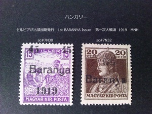 ハンガリー セルビアが占領加刷 1st BARANYA Iss. 1919 sc#7N30,32