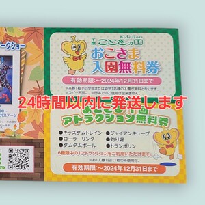 千葉 こどもの国 キッズダム 2024年12月末 入園無料券