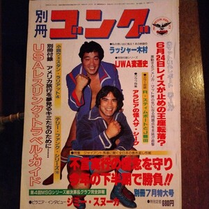 送料込み　別冊ゴング　1981年 7月号　プロレス　MSGシリーズ猪木V4　リッキー・スティムボート　ダスティ・ローデス　スタン・ハンセン