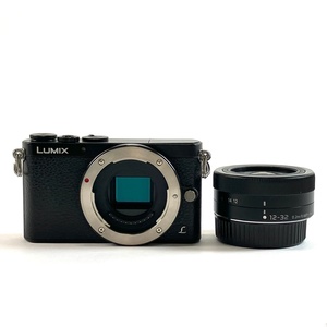 パナソニック Panasonic LUMIX DMC-GM1Kレンズキット ブラック デジタル ミラーレス 一眼カメラ 【中古】