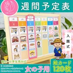 週間予定表 女の子用 お支度ボード 視覚支援 絵カード カレンダー 療育グッズ