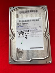 動作保証　ハードディスク SAMSUNG HA250HJ 250GB HDD　(A06)