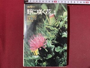 ｃ◆　カラー 野に咲く花 １　解説・丸山尚敏　昭和51年17版　山渓カラーガイド 12　/　N45