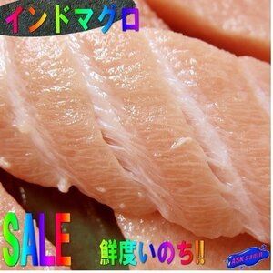 脂のってます!!「南まぐろ腹身1kg」...腹身の切り落とし、端材となります。