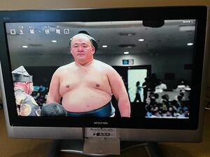 三菱液晶テレビREAL 32インチ RGBパソコンモニター ハイビジョン ビデオ D端子ケーブルおまけ