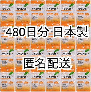 匿名配送 イチョウ葉24袋480日分480錠(480粒) 日本製無添加サプリメント健康食品 DHC脳内αでは有ません 箱詰梱包追跡番号付 GinkgoBiloba