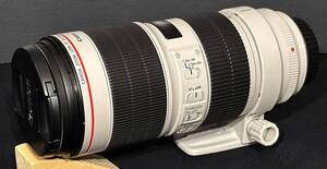 Canon EF 70-200mm 1:2.8 L IS III USM