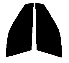 ハーフスモーク　７６％　運転席、助手席　アコードワゴン　CF　カット済みフィルム