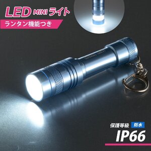 懐中電灯 LEDミニライト ブルー｜LH-MY41-A2 08-1005 オーム電機