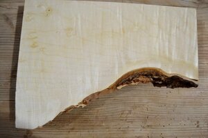 長33*幅12-24*厚1.5　トチ42の木材木工材,一枚板DIY銘木花台　　プレート栃