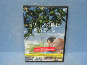 オリーブの樹は呼んでいる [DVD] 10/19605