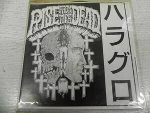 ソノシート/RISE FROM THE DEAD ライズ・フロム・ザ・デッド/ハラグロ/Flexi-disc　LYR-6.240308