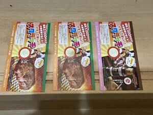 ☆s85_ブロンコビリー　ジェラート＆ドリンクバー無料券　2025年1月31日まで2枚 と　3月31日まで1枚の合計３枚