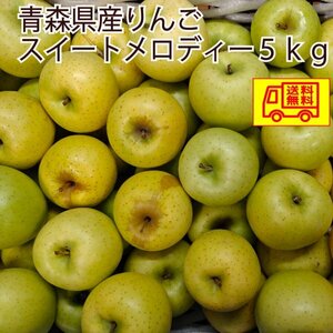 青森県産　りんご　訳あり　スイートメロディー　18~25玉程度　5kg