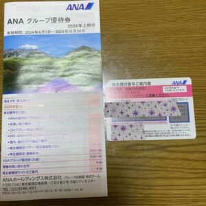 ANAグループ優待券 ANA株主優待 