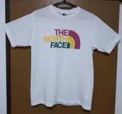 ノースフェイス tシャツ ビッグロゴ THE NORTH FACE