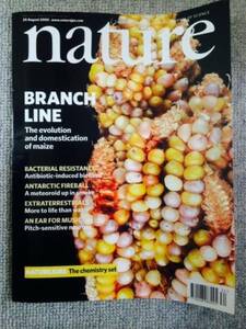 nature August 25, 2005 中古 美品！！