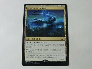 MTG 美品 【インダサのトライオーム】 （レア） イコリア：巨獣の棲処 IKO 日 1枚迄