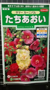 ３袋セット たちあおい ホリホック サマーカーニバル 種 郵便は送料無料