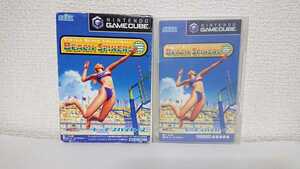 GC ビーチスパイカーズ ゲームキューブ 動作確認済み GAMECUBE BEACH SPIKERS VIRTUA BEACH VOLLEYBALL