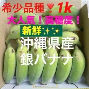 0118①大人気！！希少品種！農薬不使用！沖縄県産銀バナナ　1キロ分