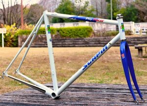 SCAPIN KS-E PRO RACER スカピン プロレーサー スチールフレーム