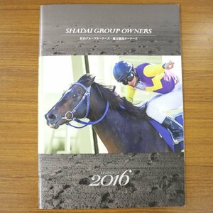 特3 81212 / 2016年度募集馬 共有馬主募集のご案内 社台グループオーナーズ・地方競馬オーナーズ マサノミネルバ ジュエルオブジュエルズ