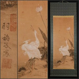 【模写】吉】10037 花鳥図 朝鮮 李朝 韓国 中国画 古画 作者不明 掛軸 掛け軸 骨董品
