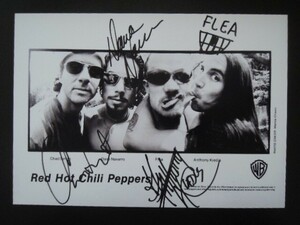 A4 額付き ポスター レッドホットチリペッパーズ Red Hot Chili Peppers レッチリ プリントサイン 額装済み