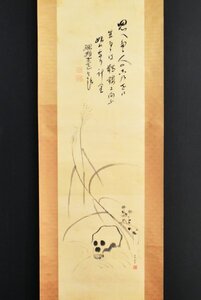 【真作】B4122 秋野孝道「野ざらし 画賛」絹本 肉筆 曹洞宗管長 総持寺7世貫主 西有穆山師事 遠江の人