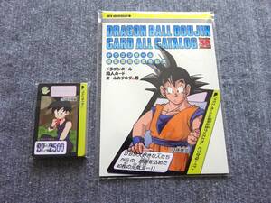 DRAGONBALL 30TH DOUJIN CARD ALL CATALOG ドラゴンボール カードダス 同人カード全40枚付き オールカタログの巻