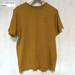 USED アークテリクス メンズ Tシャツ Ｌ トップス 半袖