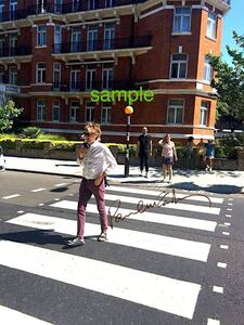 【送料込み】 ポールマッカートニー Abbey Road サイン　フォト　写真　ポートレート　The Beatles