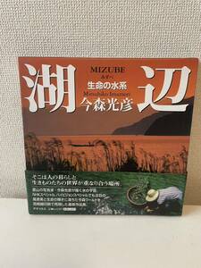 【湖辺(みずべ) 生命の水系】函付 2004年 帯付 今森光彦 世界文化社