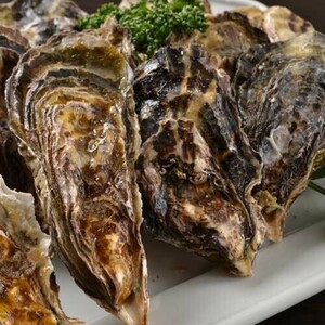 岩牡蠣 養殖 （250-350g×10個） 期間限定 4月中旬～5月末 送料無料 北海道/沖縄/東北は別途送料 宇和海の幸問屋