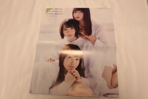 ポスター 欅坂46