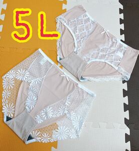 大きいサイズ5L XXXXL ベージュ フロントレースショーツ２枚セット