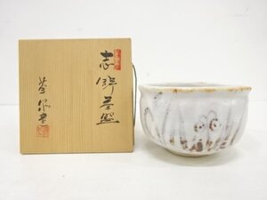 ys7182579; 宗sou 菊泉窯造　志野茶碗【道】