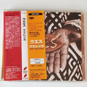 帯付 WES/WELENGA (ESCA-6561) ウエス/ウエレンガ アフリカ音楽 ミッシェル・サンチェーズ(DEEP FORESTディープ・フォレスト)プロデュース