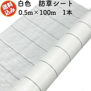 防草シート 白色（サンホワイト） 0.5m×100m 1本 抗菌剤 UV剤入り 反射 除草シート 太陽光 野菜 畑 農業