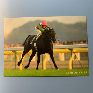 絵葉書　競馬　第128回天皇賞　2003年 シンボリクリスエス　東京競馬場